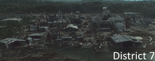District7