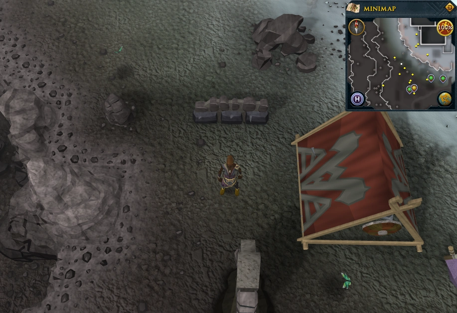 Treasure The RuneScape Wiki