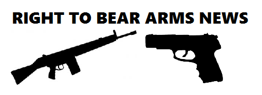 Why Is The Right To Bear Arms Necessary