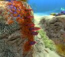 subnautica образец коралловой плиты