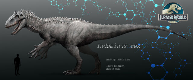 indo minus