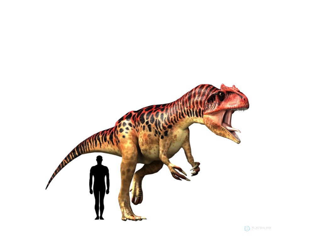 Allosaurus Dinopedia The Free Dinosaur Encyclopedia.