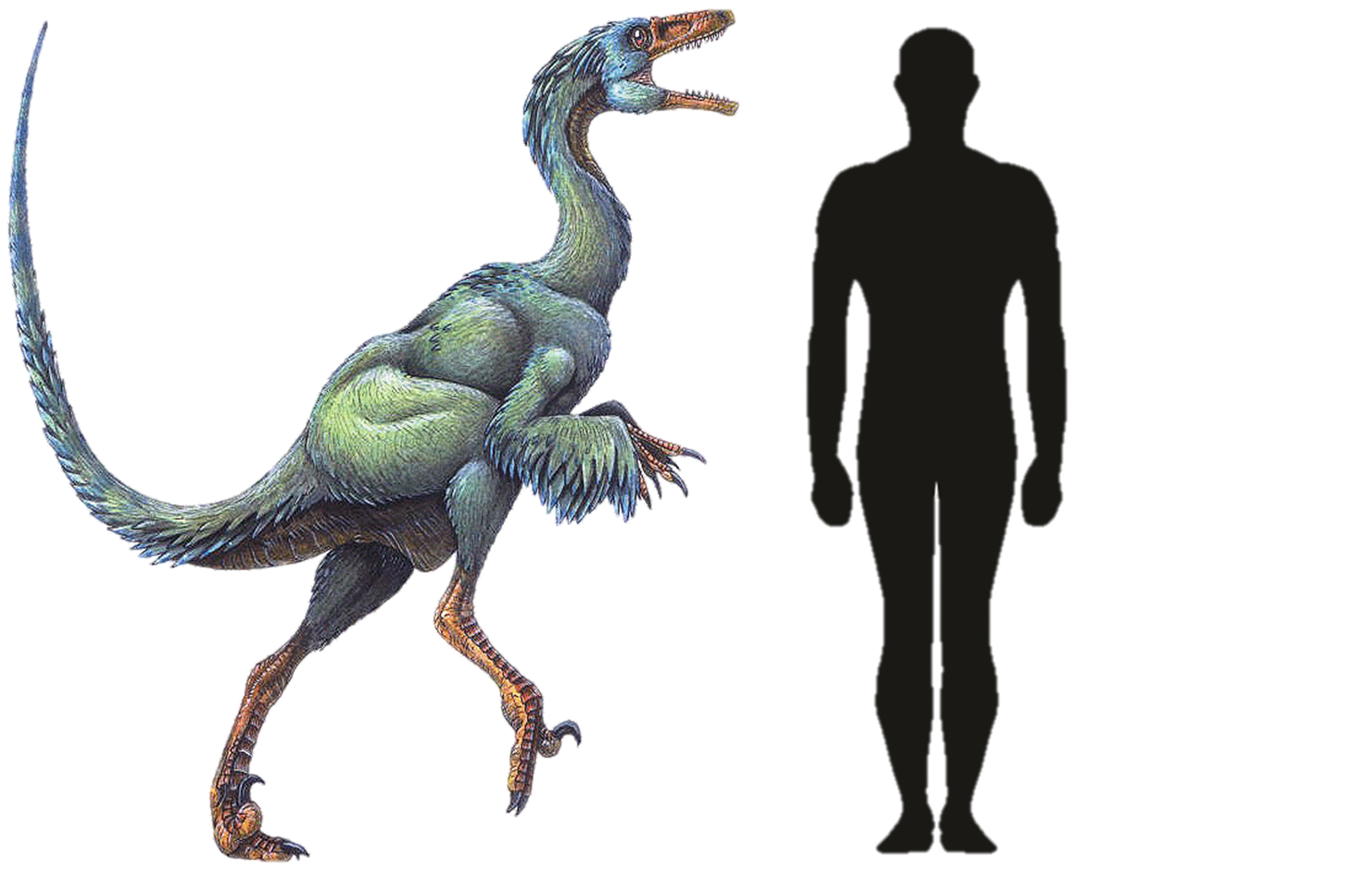 Troodon Dinopedia The Free Dinosaur Encyclopedia