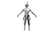 AnimusAspect