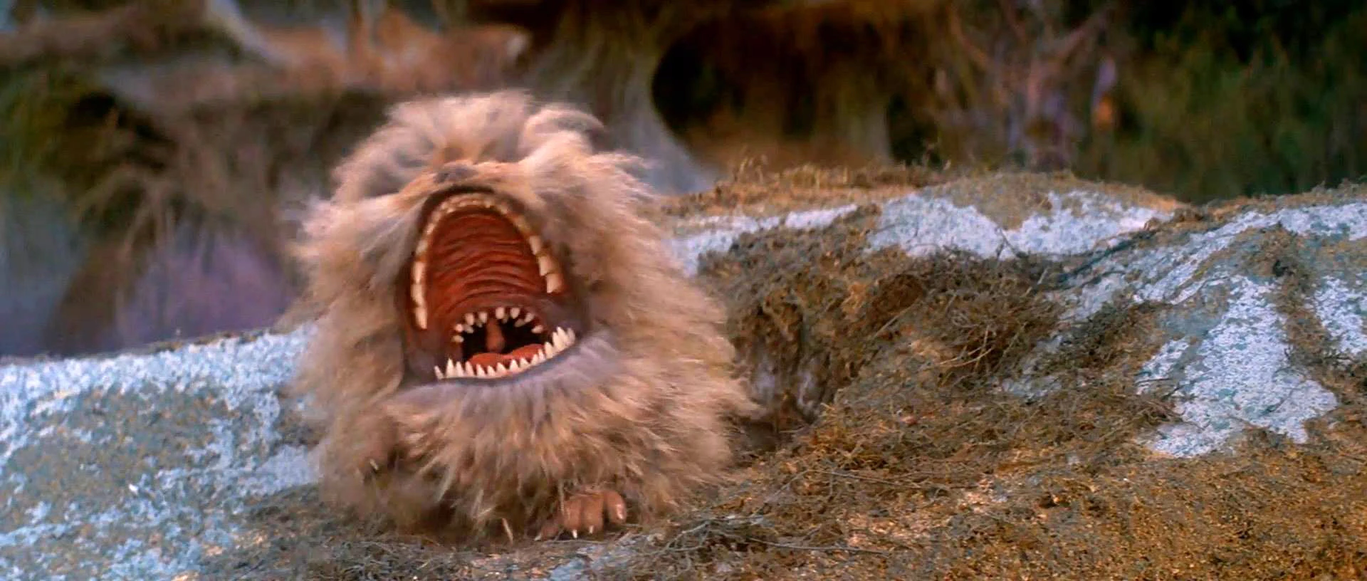 Fizzgig Muppet Wiki Wikia