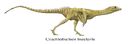 Graciliobcisor draconic fauna of new zealand by hyrotrioskjan.jpg