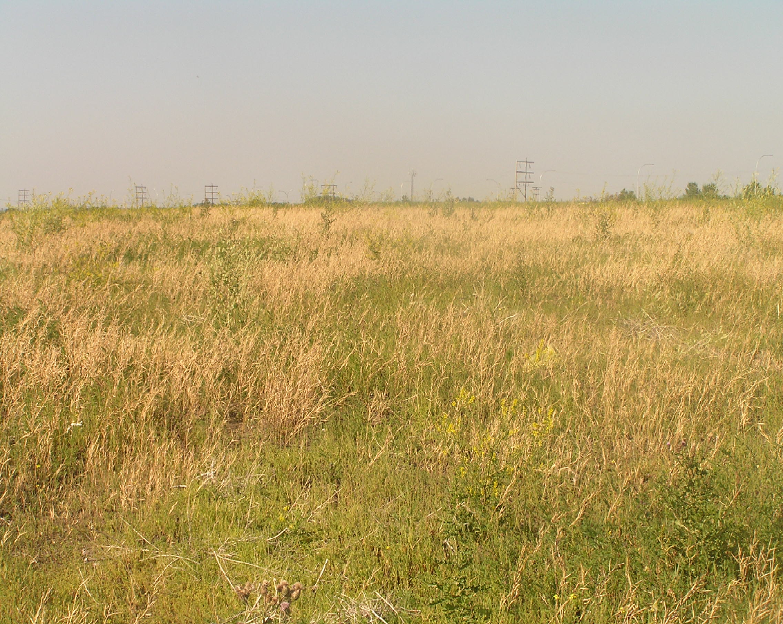 Habitats - Wildlife of Alberta Wiki