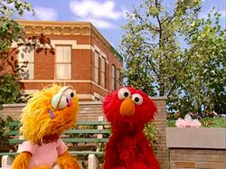 Episode 4064 - Muppet Wiki