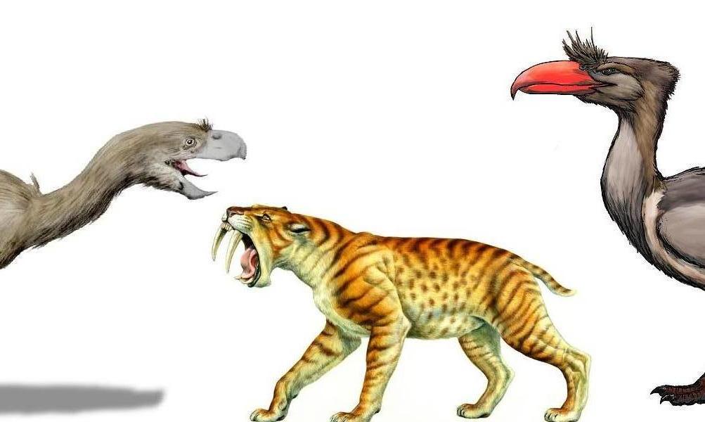 Image - Saber-Tooth pitting off against Terror Birds.jpg - Dinosaur ...