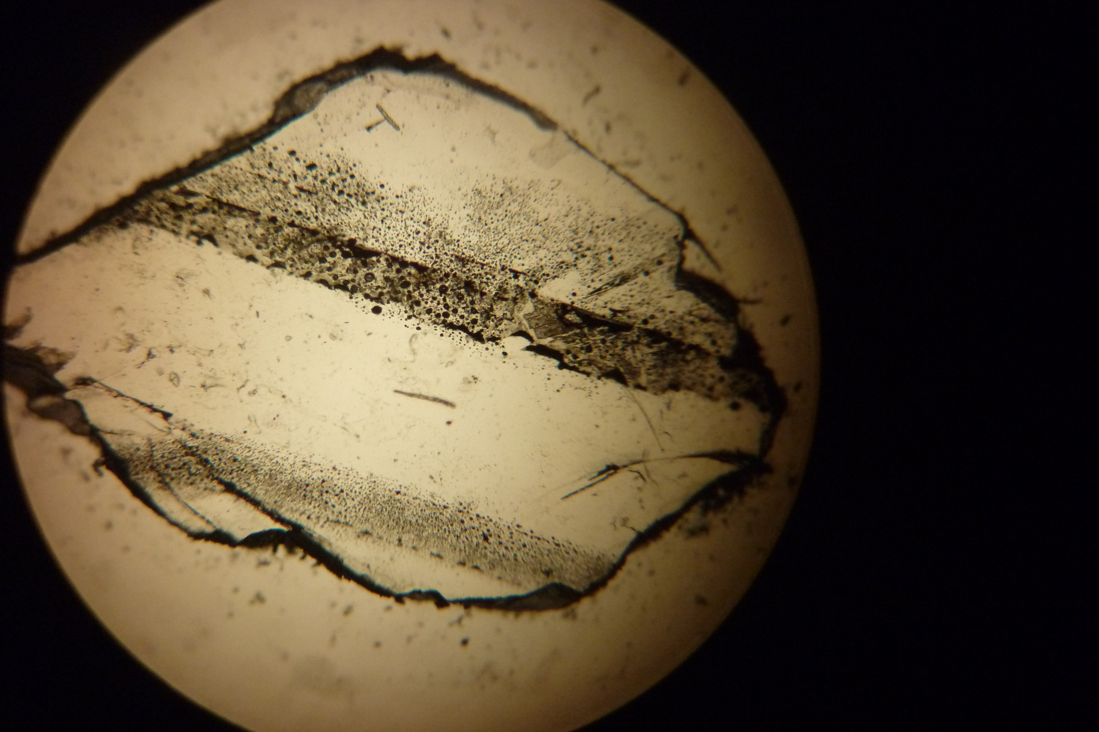 Plagioclase feldspar bryn mawr mineralogy wiki