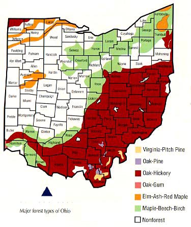 Ohio State Forests Map - Ohio Forrest