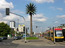 https://img3.wikia.nocookie.net/__cb20110729224911/warszawa/images/thumb/4/4d/Palma_widok_w_kierunku_Mostu_Poniatowskiego.JPG/250px-Palma_widok_w_kierunku_Mostu_Poniatowskiego.JPG