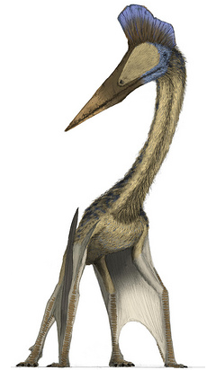 Pteranodon - Dinopedia - the free dinosaur encyclopedia