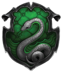 The Slytherin crest (boo, hiss!)