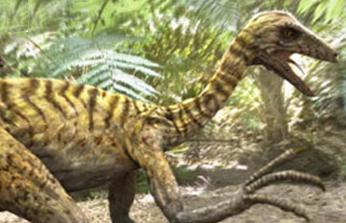 Mei Long - Cool Dino Facts Wiki