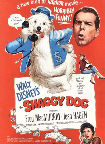 The Shaggy Dog - Disney Wiki