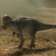 Pachycephalosaurus - Dinopedia - the free dinosaur encyclopedia