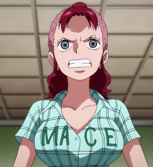 Image - Bell-mère Anime Infobox.png - The One Piece Wiki - Manga, Anime ...