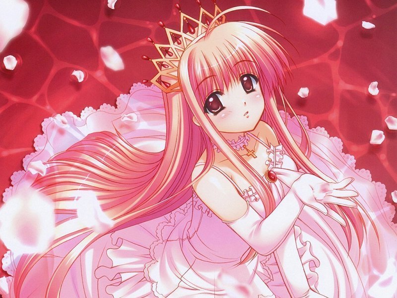 http://img3.wikia.nocookie.net/__cb20121208180023/utau/images/6/67/Pink_anime_princess.jpg