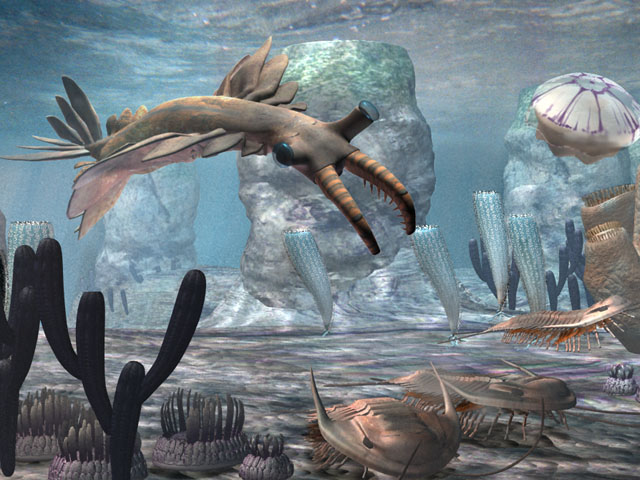 Anomalocaris - Dinopedia - the free dinosaur encyclopedia