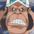 Gorilla Portrait