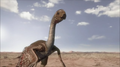 Image - Gigantoraptor-1.2-2.png - Planet Dinosaur Wiki - Wikia