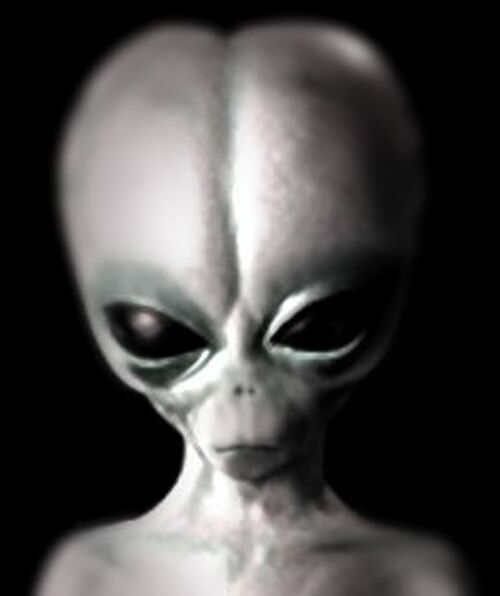 Grey alien - Alien Wiki