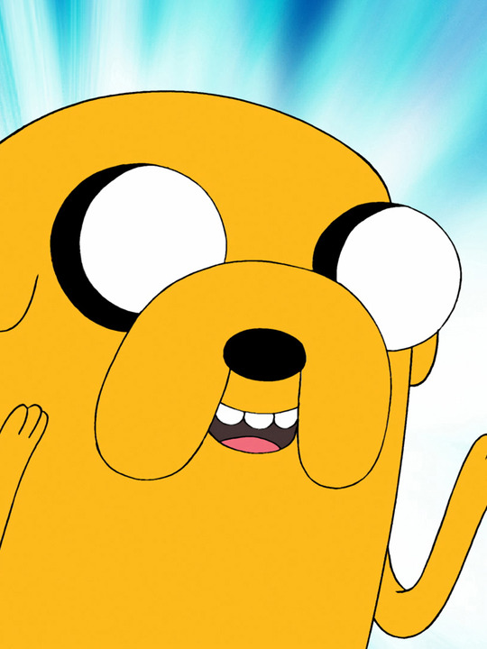 Image - Jake-the-dog.jpg - The Adventure Time Wiki. Mathematical!