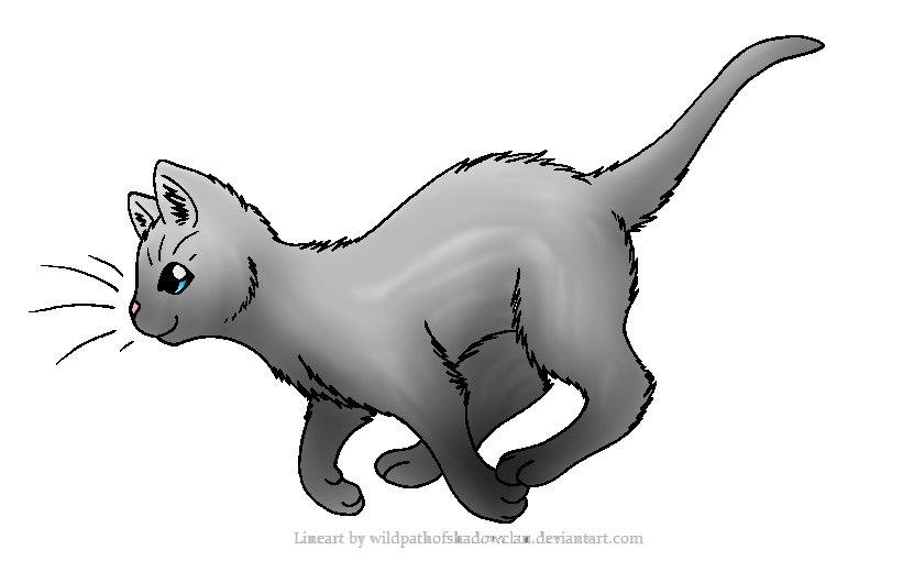 Loner Character Images - The Warrior Cats Role Play Wiki