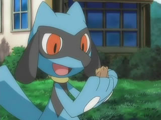 Riolu (Pokemon) - Legends of the Multi Universe Wiki