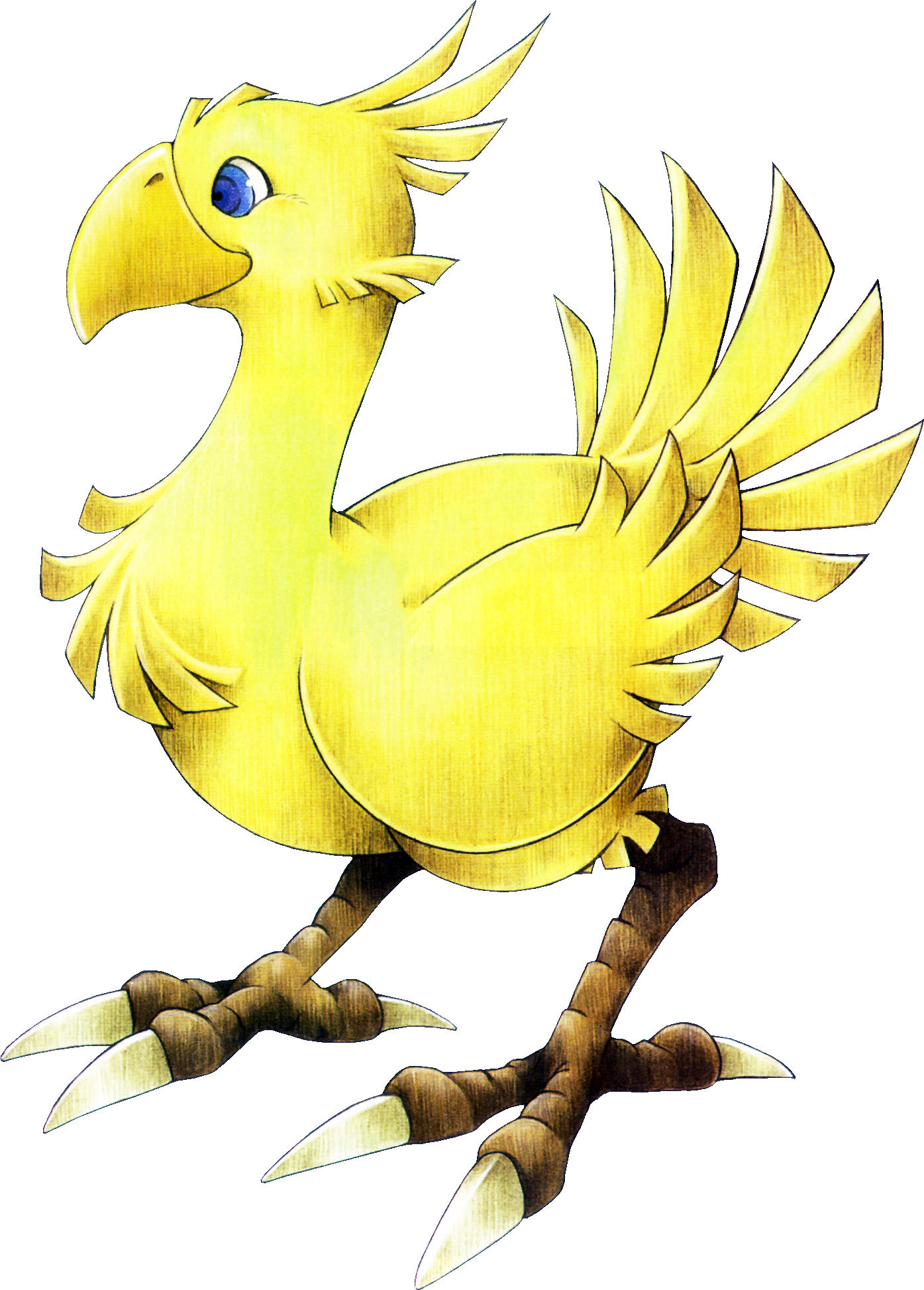 Chocobo - Final Fantasy Wiki