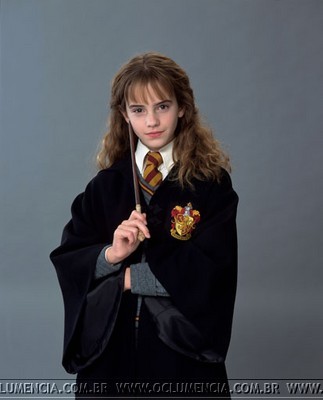 Image - Hermione-granger-and-harry-potter-and-the-chamber-of-secrets ...