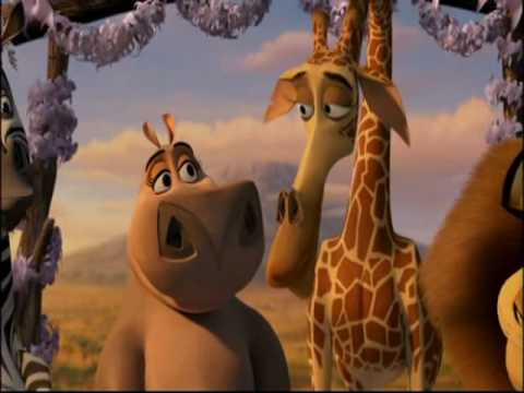 Image - Melman and Gloria.jpg - Jaden's Adventures Wiki