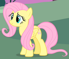 Fluttershy Perfil S1E17