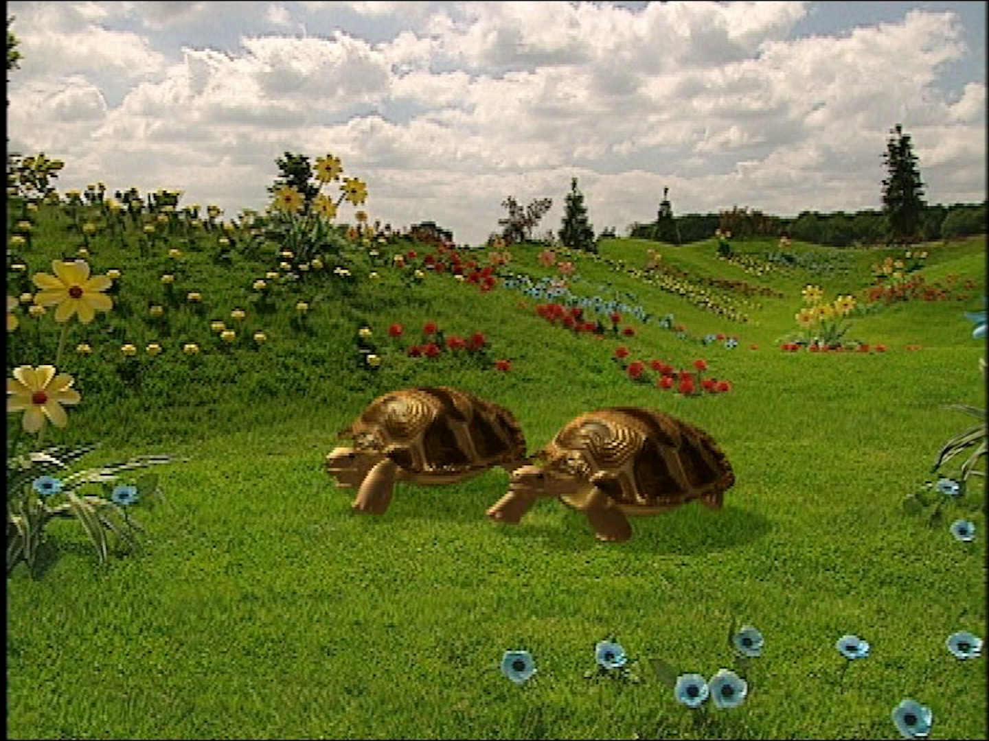 Image - Tortoises.PNG - Teletubbies Wiki