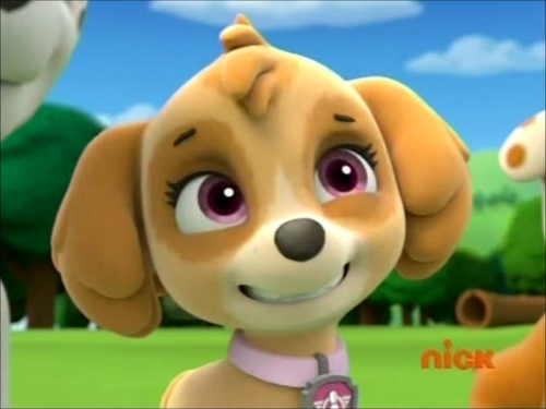 Image - SmilingSkye.png - PAW Patrol Wiki