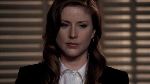 Casey Novak - Law and Order