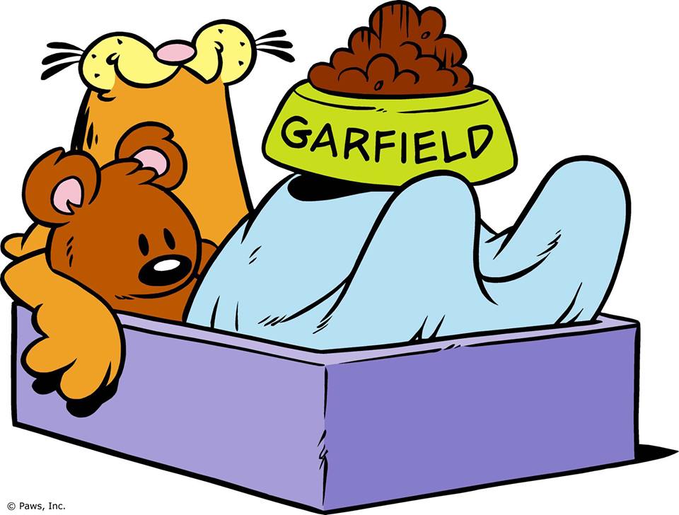 Image - Garfield sleeping 2.jpg - Garfield Wiki