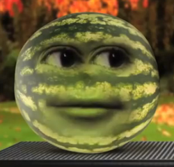 Watermelon (season 5) - Annoying Orange Wiki, the Annoying Orange ...