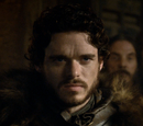 Robb Stark
