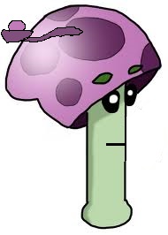 Pult shroom