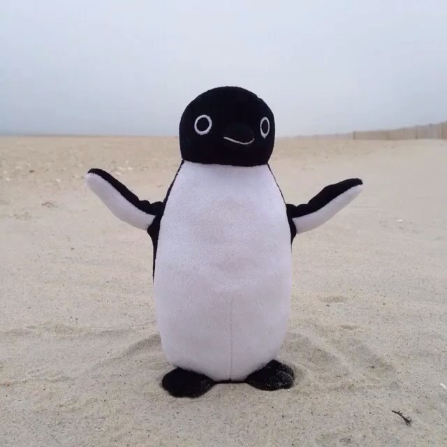 Moving Adélie Penguin Toy