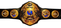 NWA World Junior Heavyweight Championship - Pro Wrestling Wiki - Divas ...